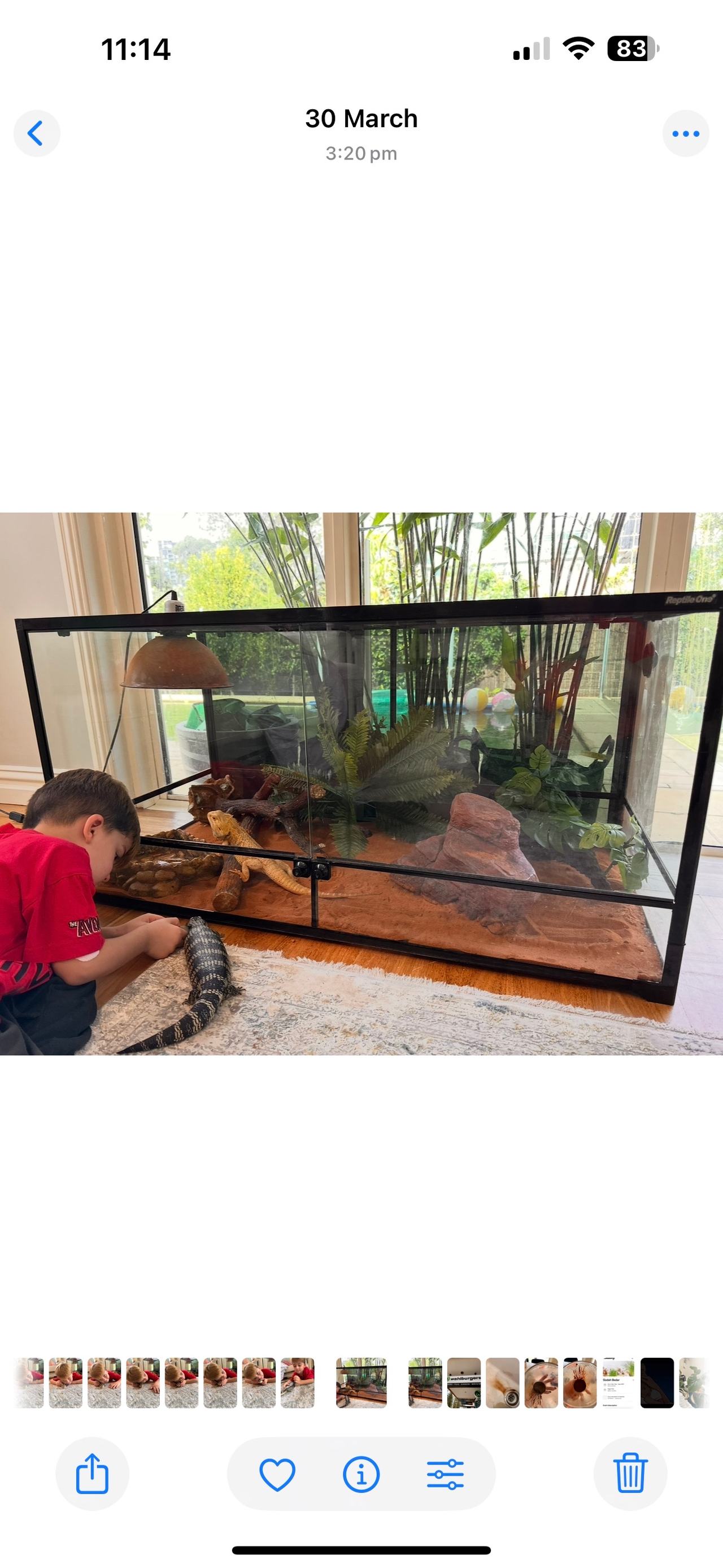 Reptile One Glass Terrarium