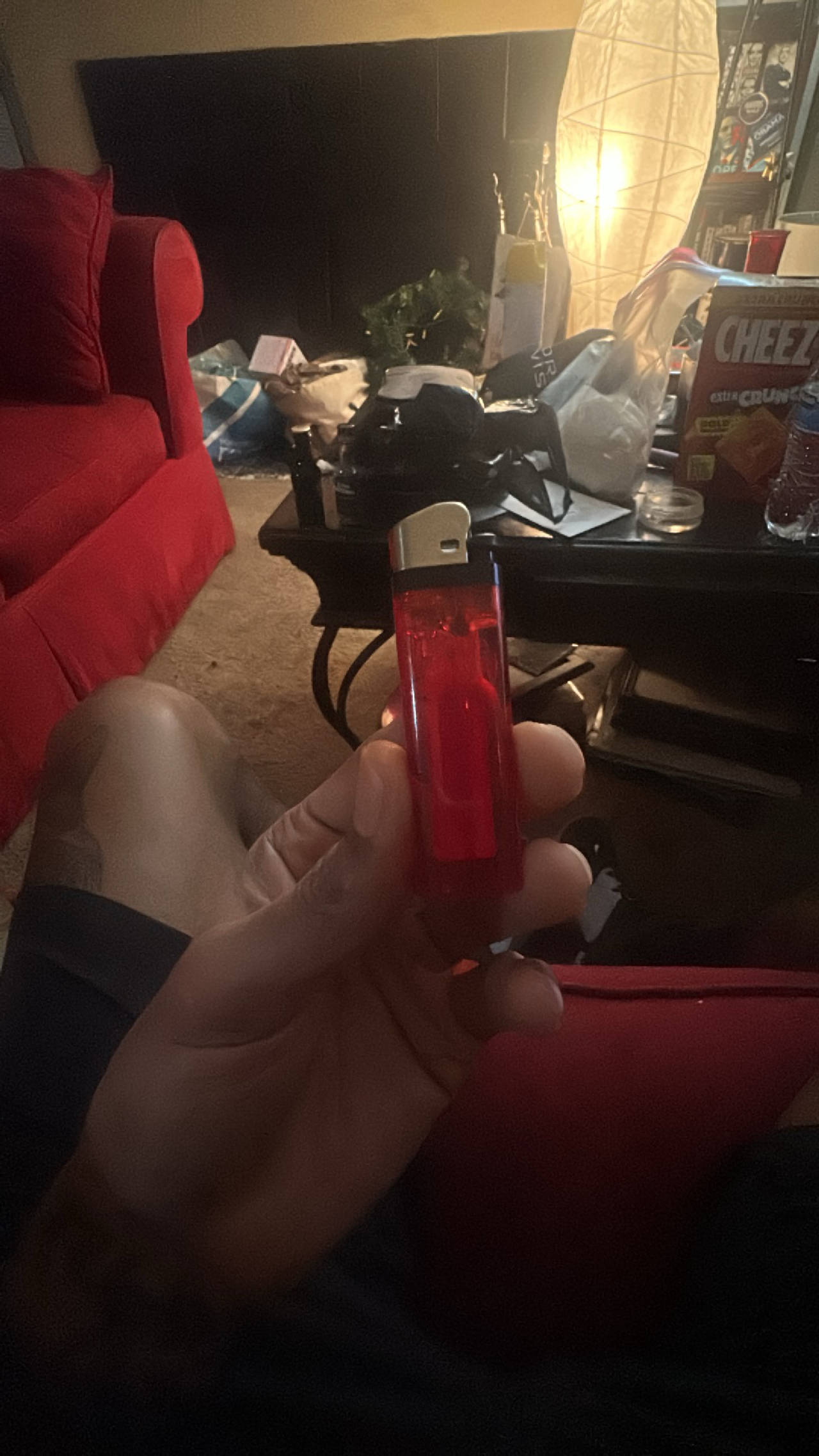 Disposable Lighter