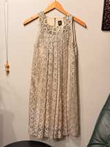 Anthropologie Silver & Gold Lace Dress - Image 1