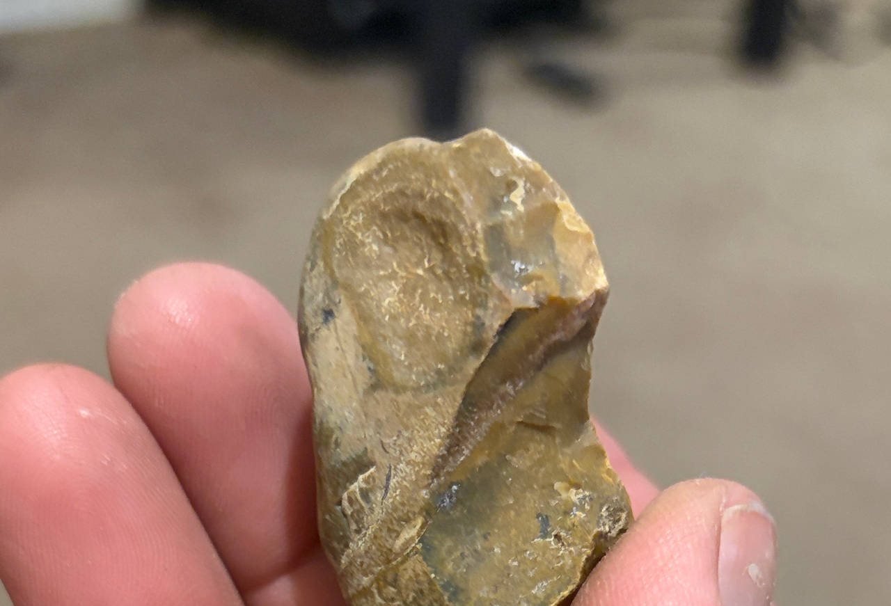Chert Lithic Flake Artifact