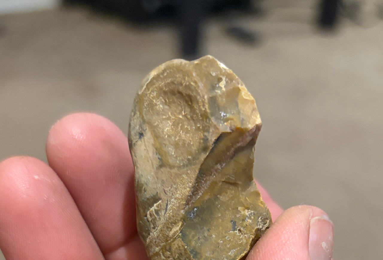 Chert Lithic Flake Artifact