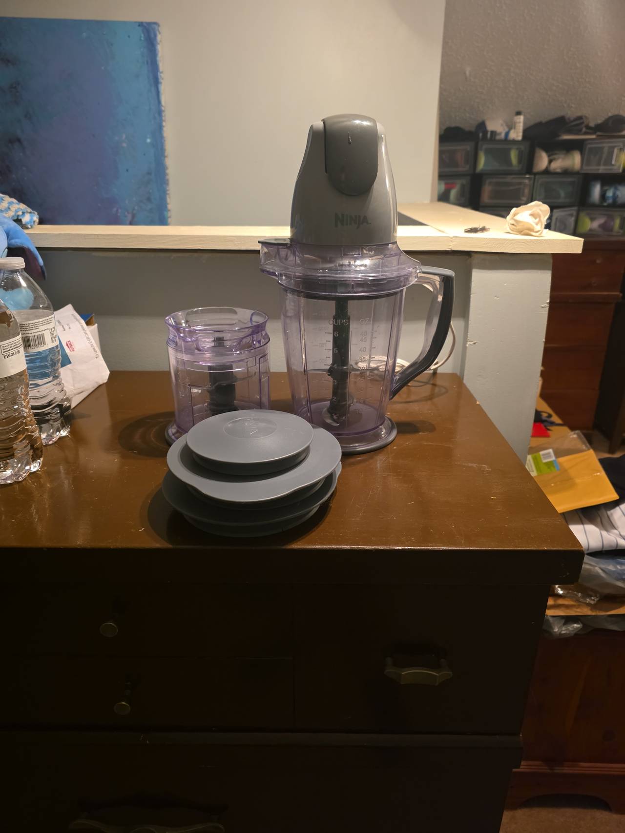 Ninja Master Prep Professional Blender and Food Processor