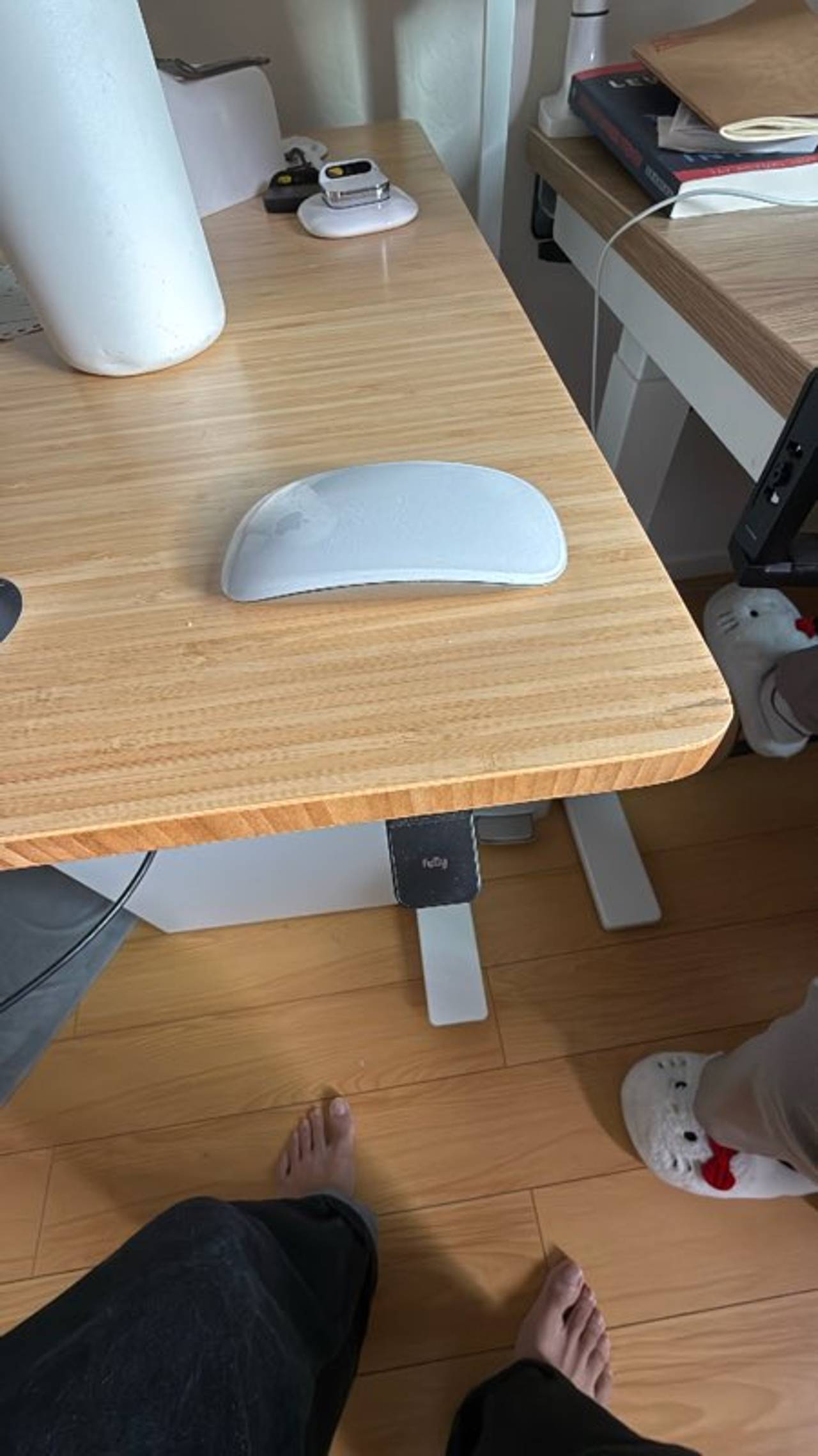 Apple Magic Mouse