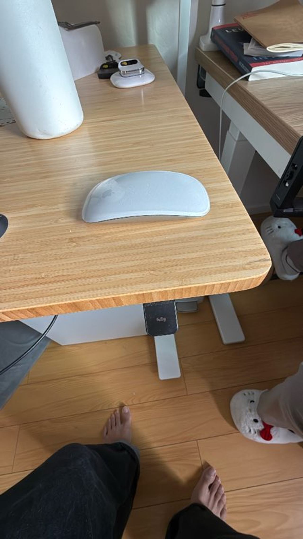 Apple Magic Mouse