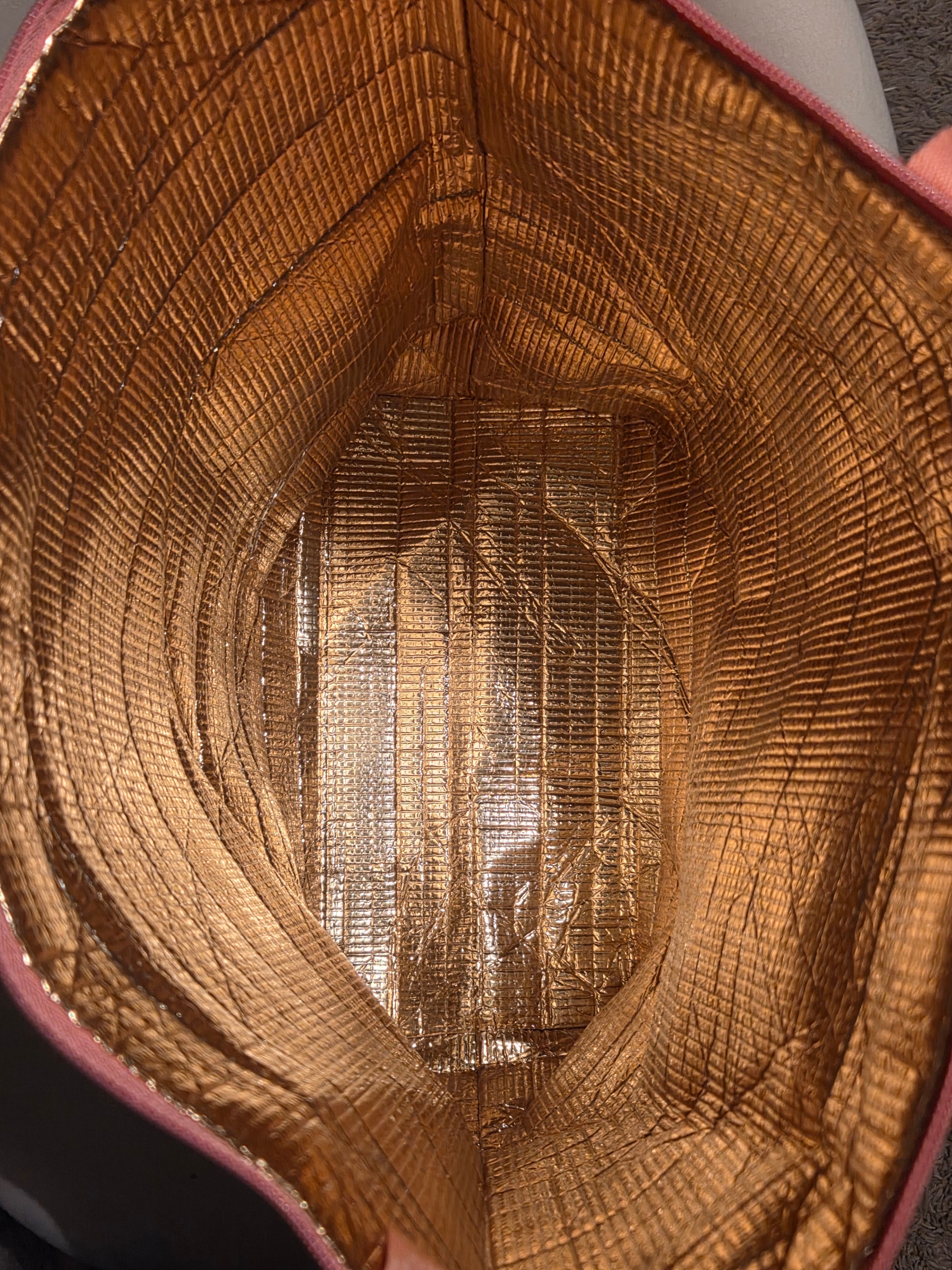 Victoria's Secret Striped Logo cooler bag