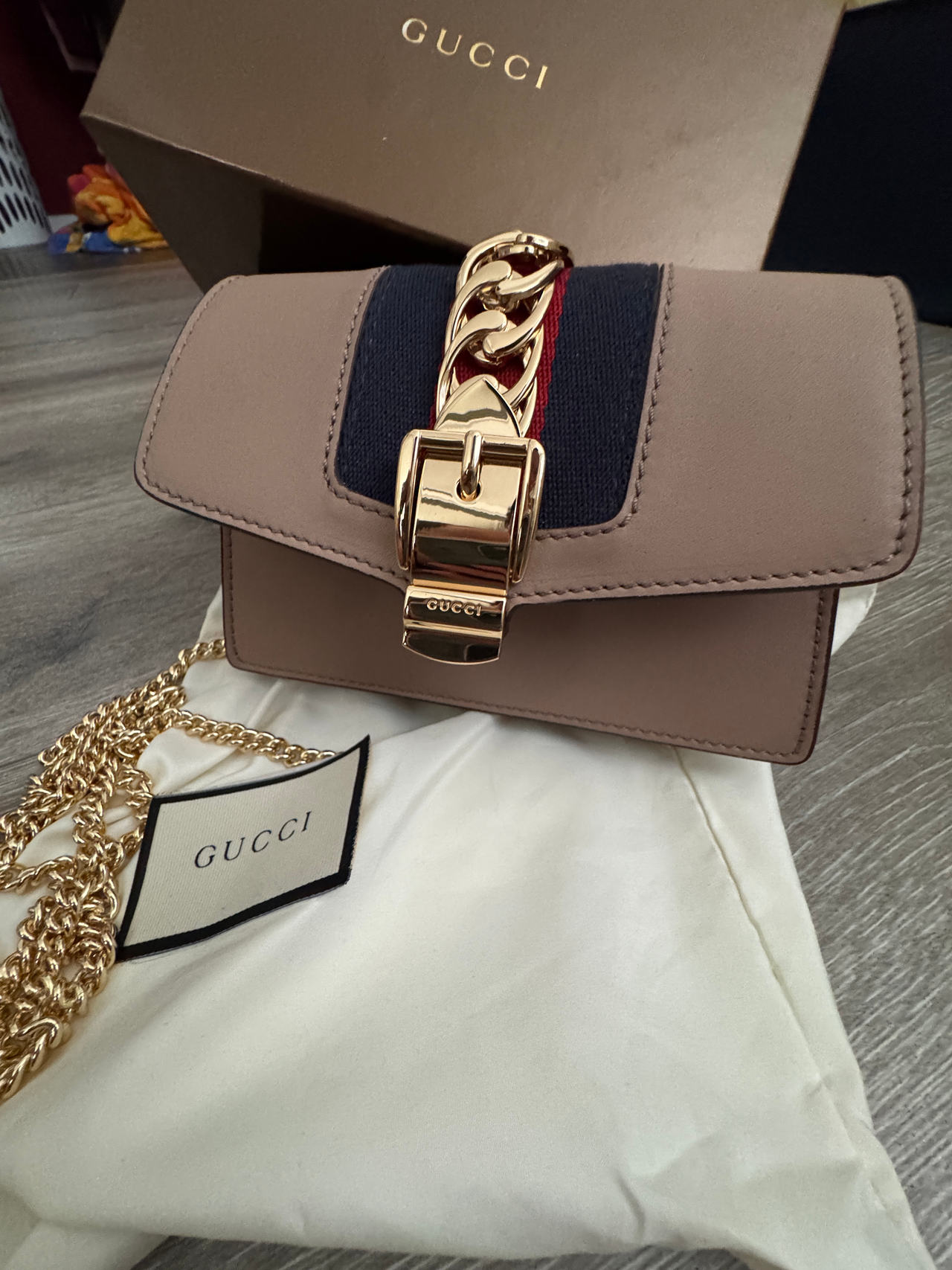 Gucci Sylvie Mini Bag