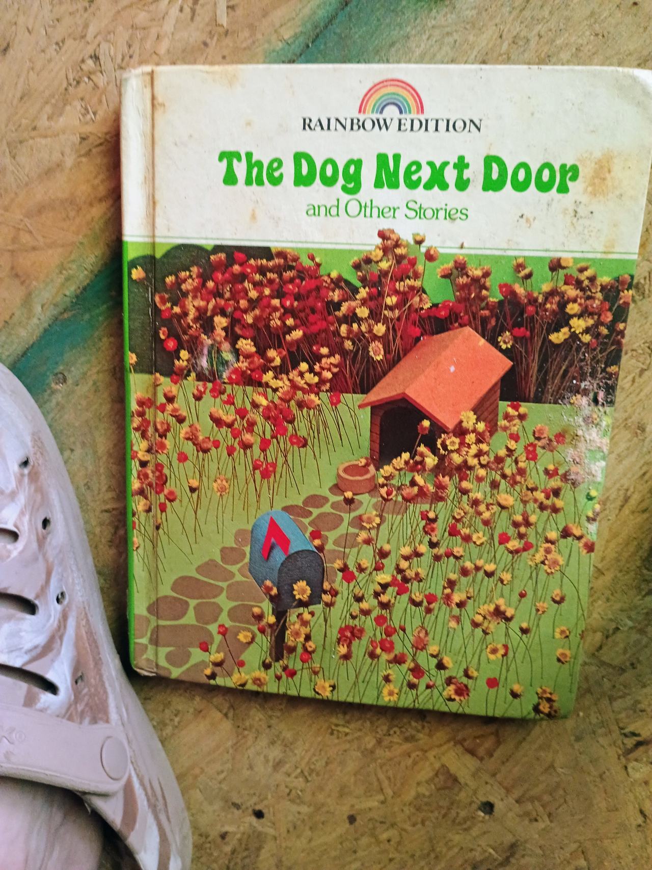The Dog Next Door and Other Stories (Rainbow Edition)