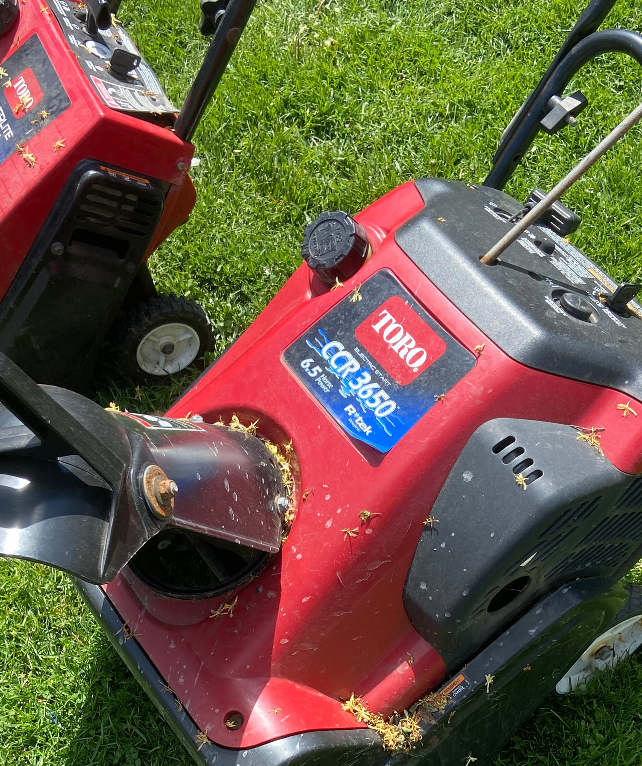Toro CCR 3650 Single Stage Snow Blower