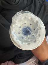 Glacier Fresh GF-8001  Refrigerator Water Filter - Image 6