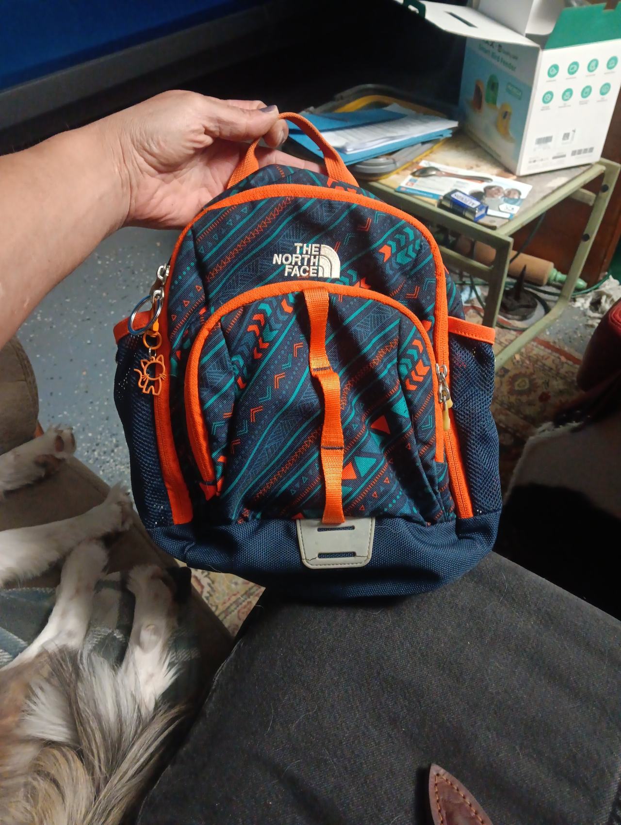 The North Face Sprout Backpack