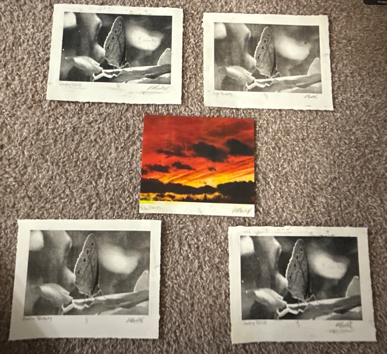 Signed Art Prints
