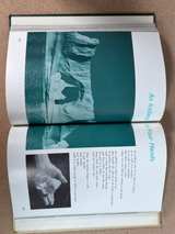 Childcraft The How and Why Library Volume 3: World and Space - Image 2