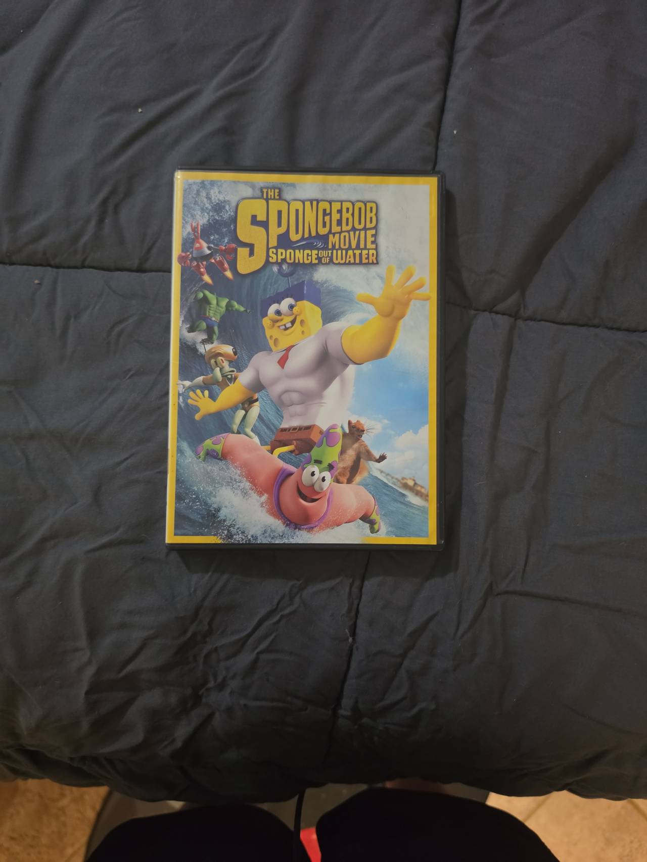 The SpongeBob Movie: Sponge Out of Water (DVD)