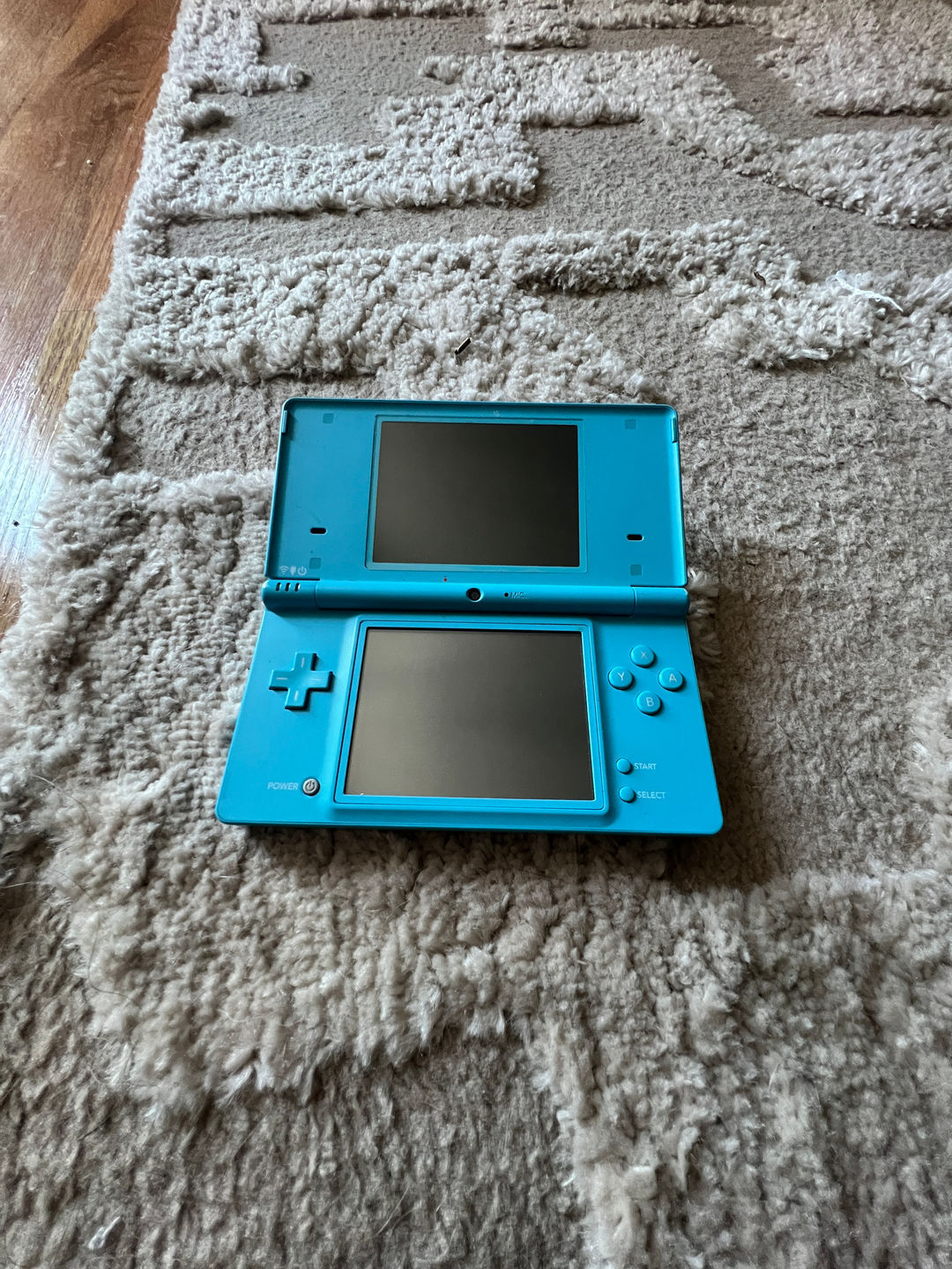 Nintendo DSi Blue