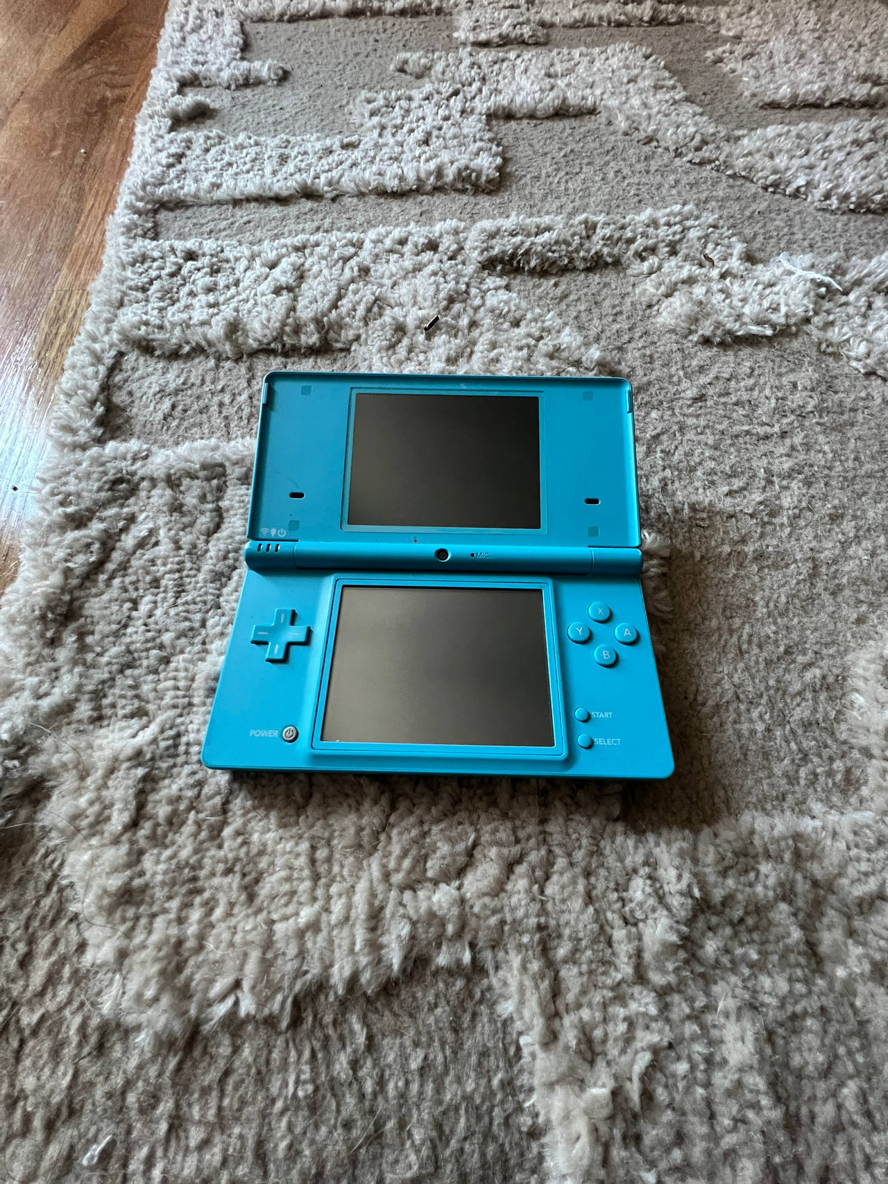 Nintendo DSi Blue