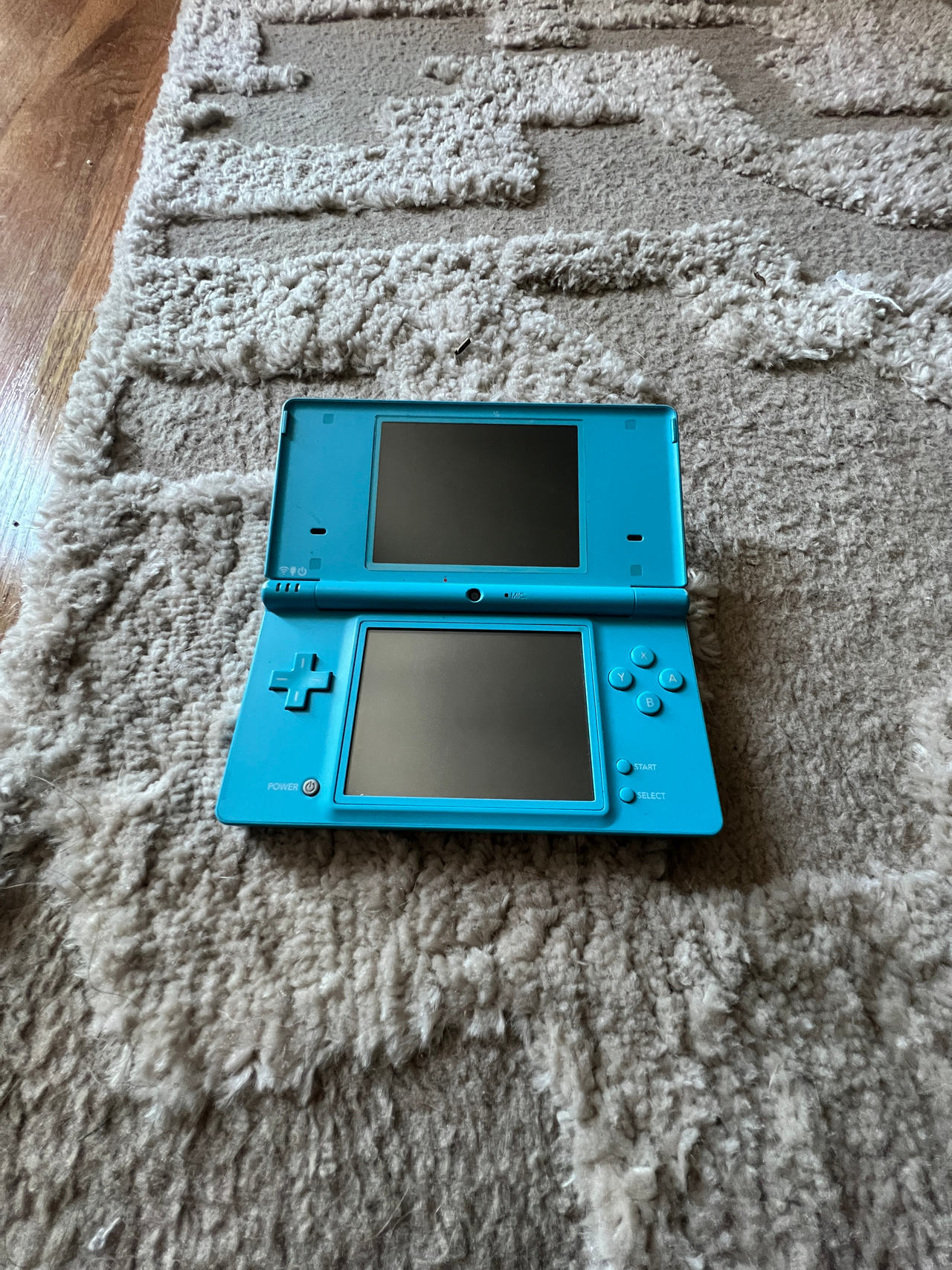 Nintendo DSi Blue