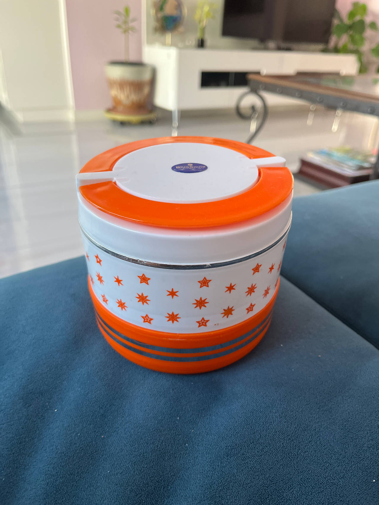 Insulated Food Container