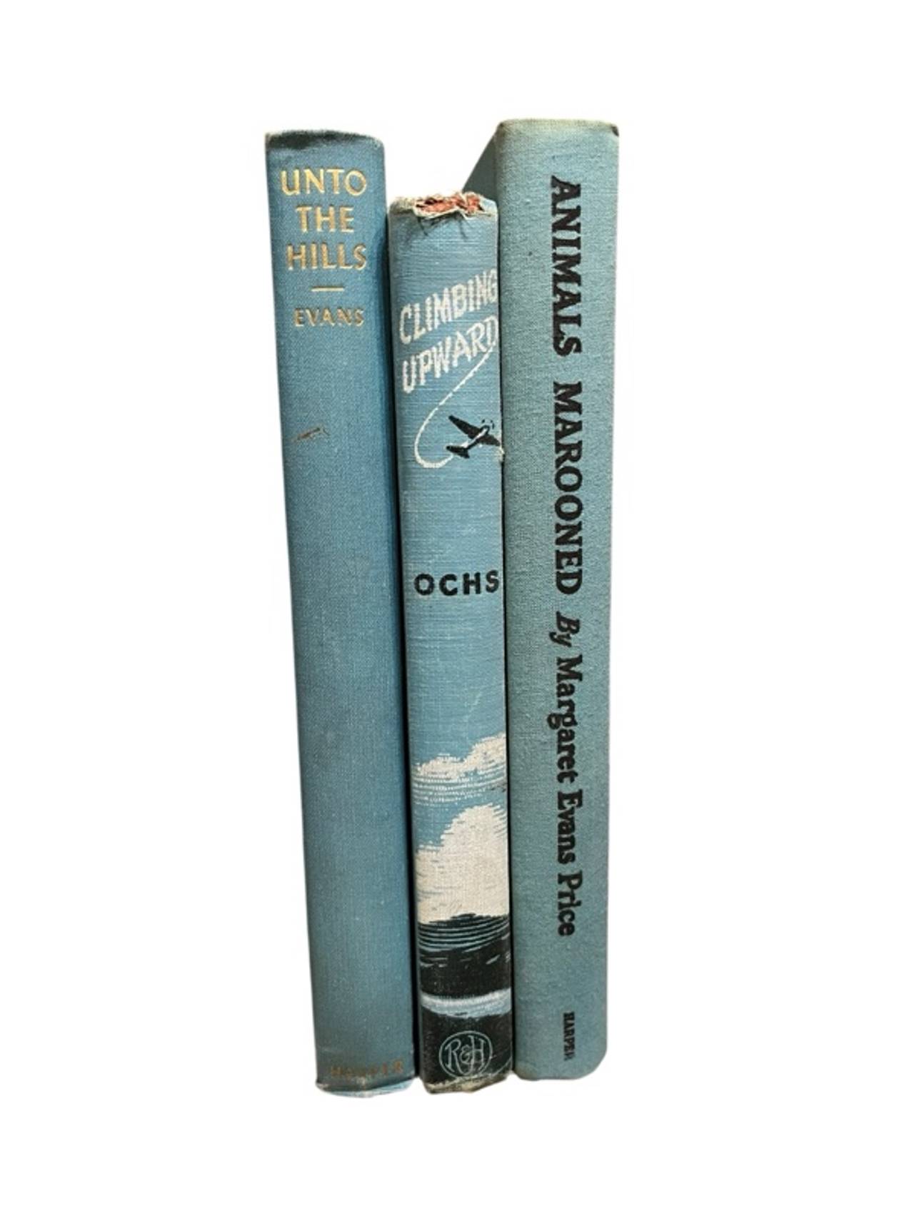 Vintage Light Blue Hardcover Book Set