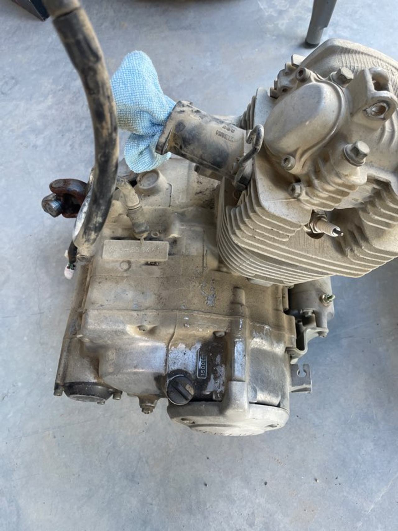 1994 Yamaha Timberwolf 250cc Engine