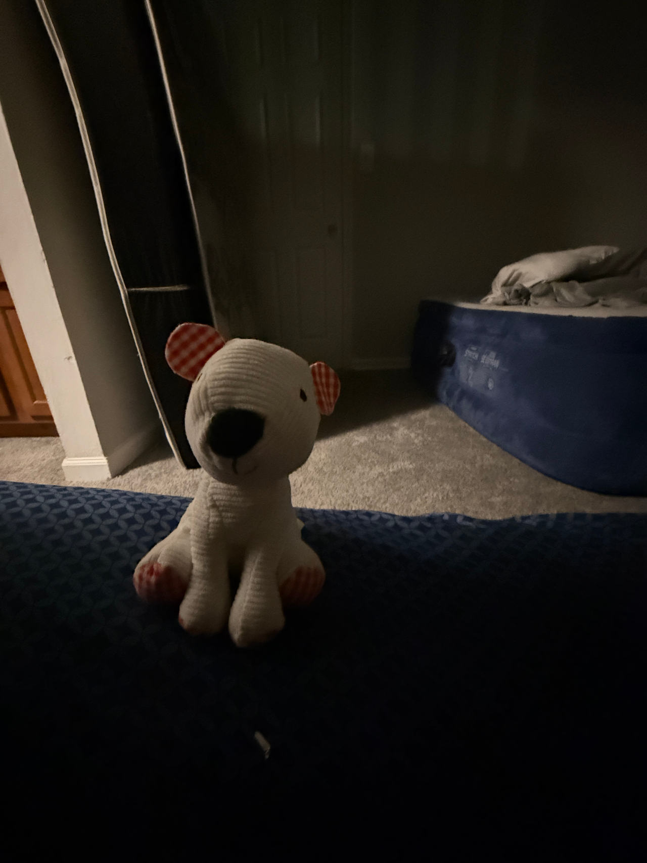 plush dog toy