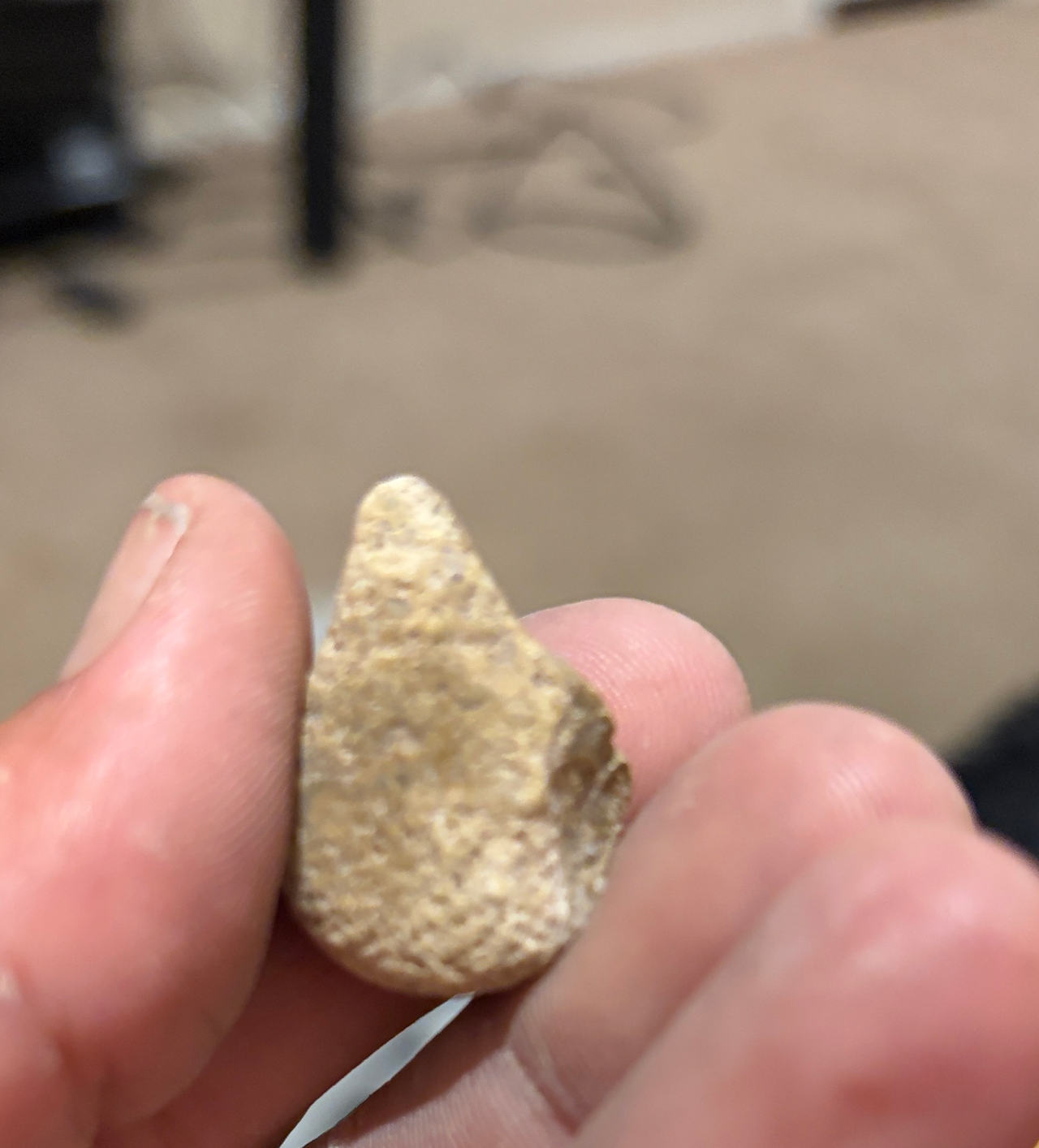 Stone Arrowhead Artifact