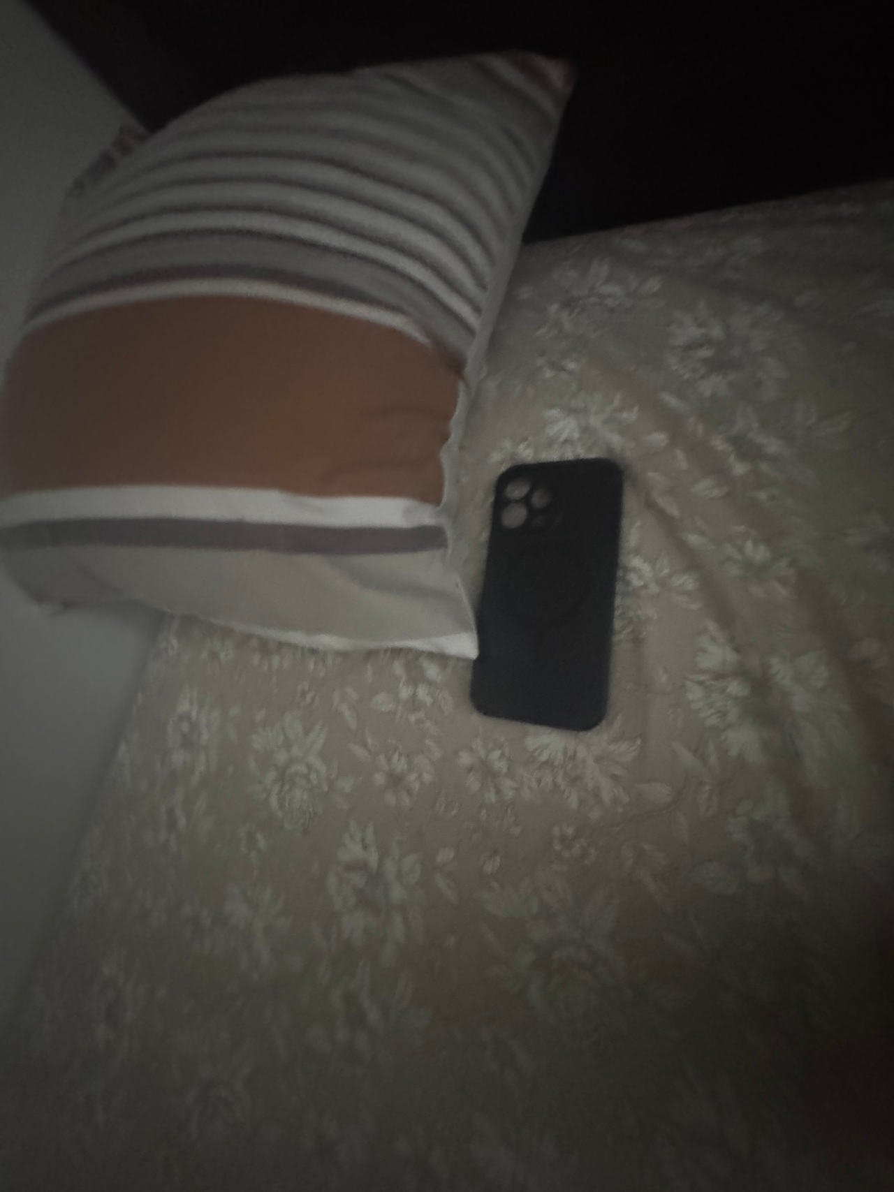 Apple iPhone (MagSafe Case)