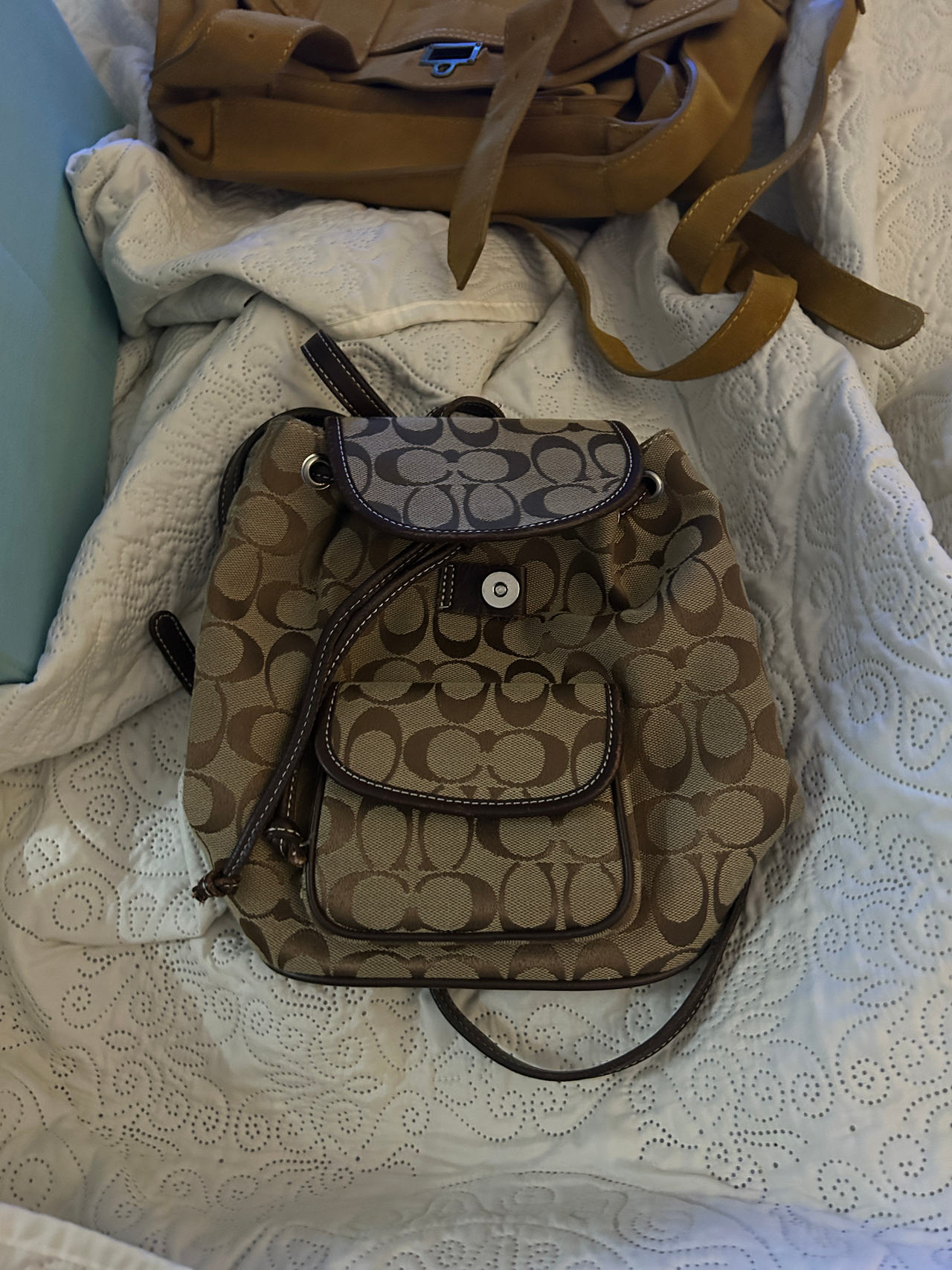 Coach Signature Canvas Backpack
