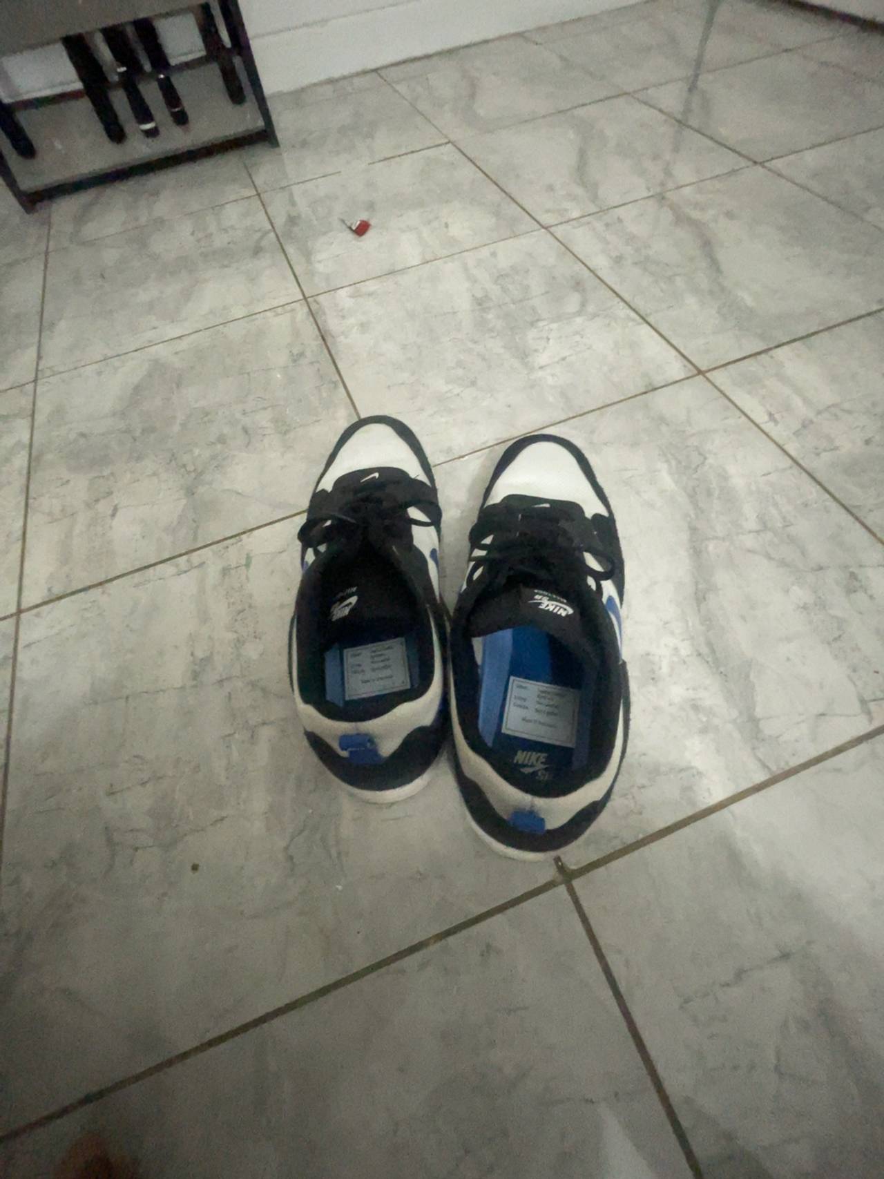 Nike SB Alleyoop White/Team Royal Skate Shoes
