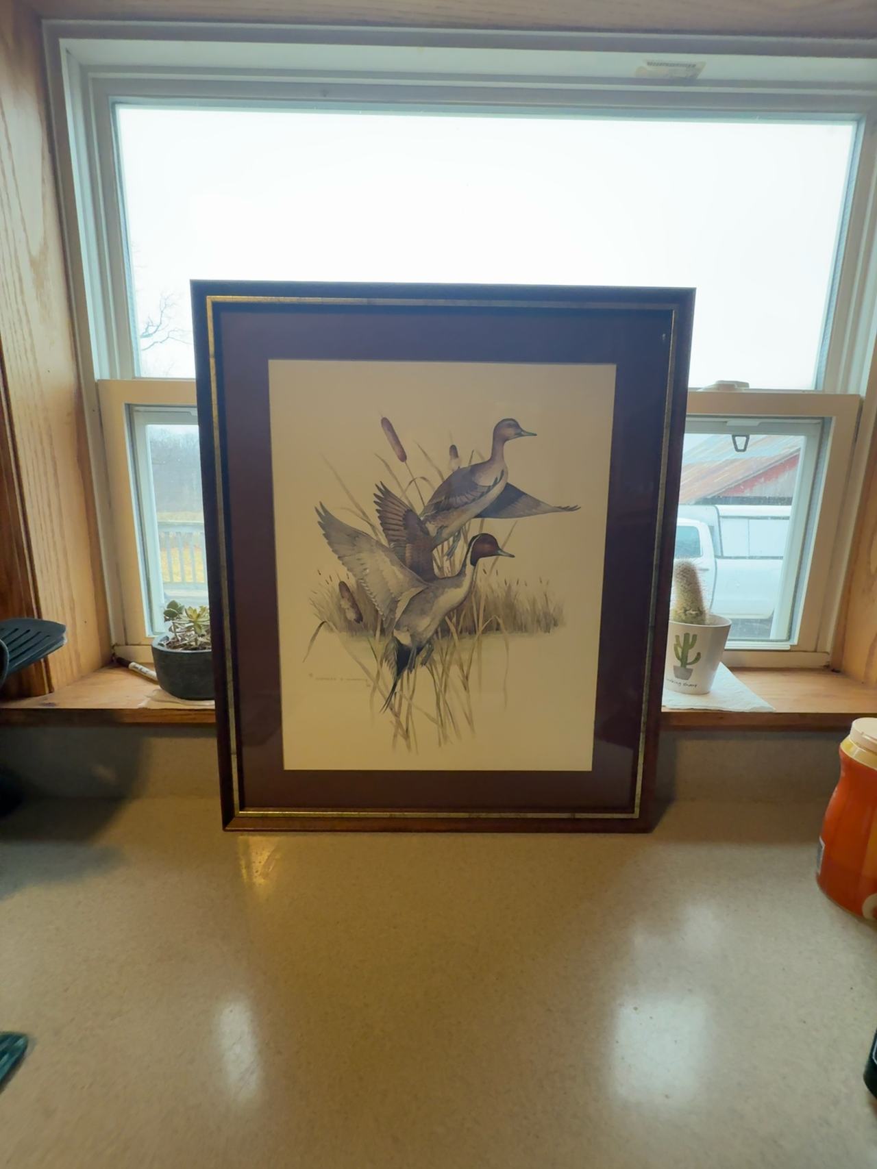 Charles E. Murphy Signed Pintail Duck Lithograph Print