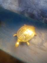 Vintage Brass Turtle Trinket Box with Chinese Longevity Symbol - Image 1