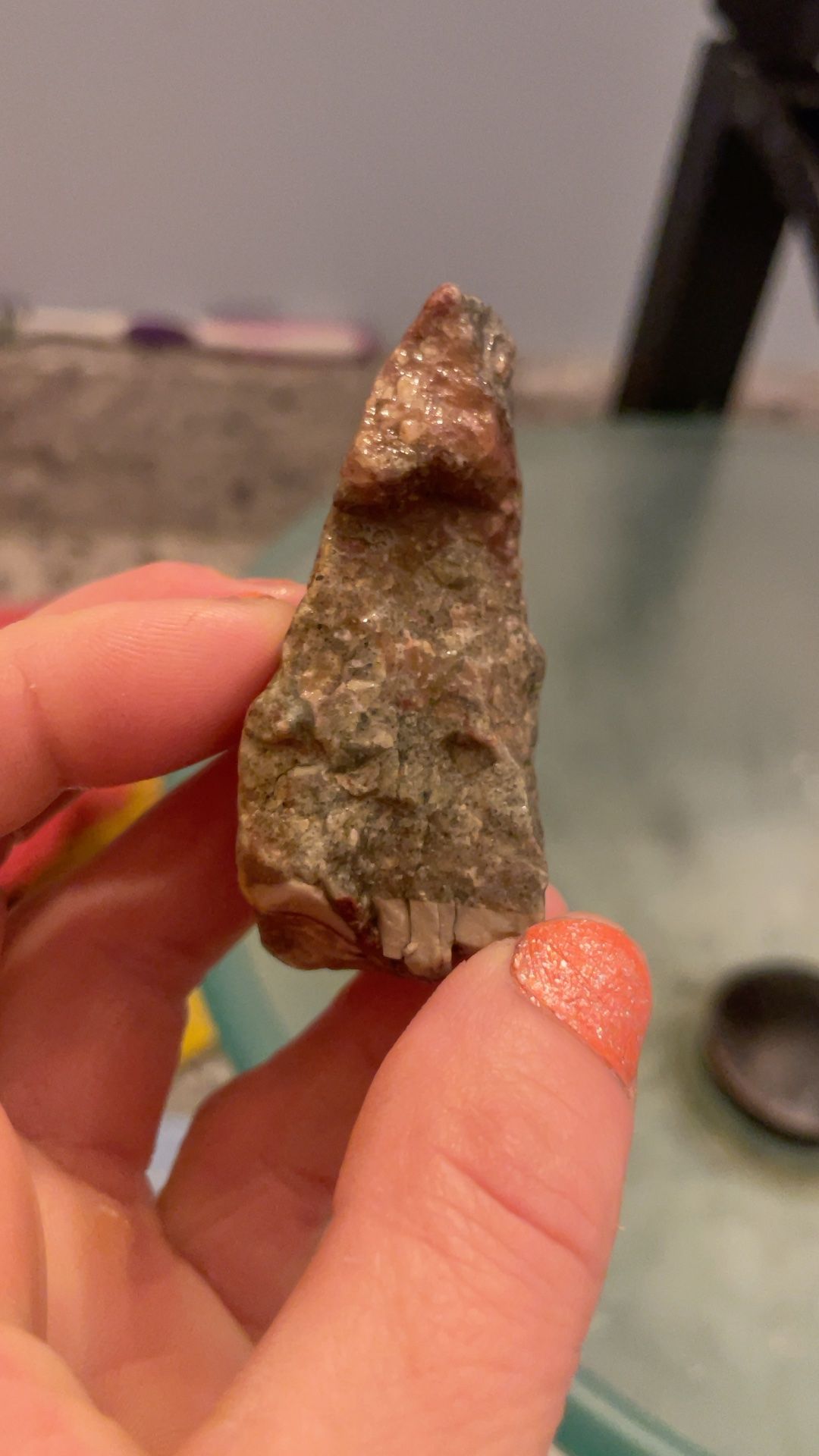 Raw Gemstone Specimen Assorted Minerals