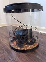 Top Fin Enchant 3.5 Gallon Aquarium & Accessories - Image 2