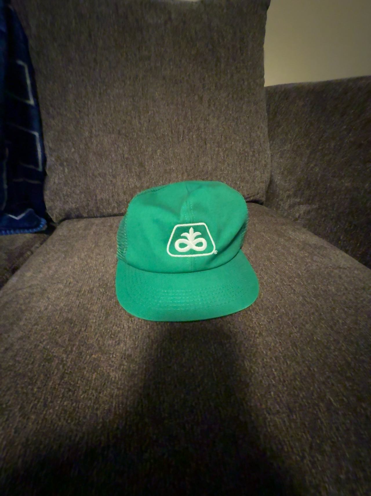 Pioneer Seeds Vintage Trucker Cap Green