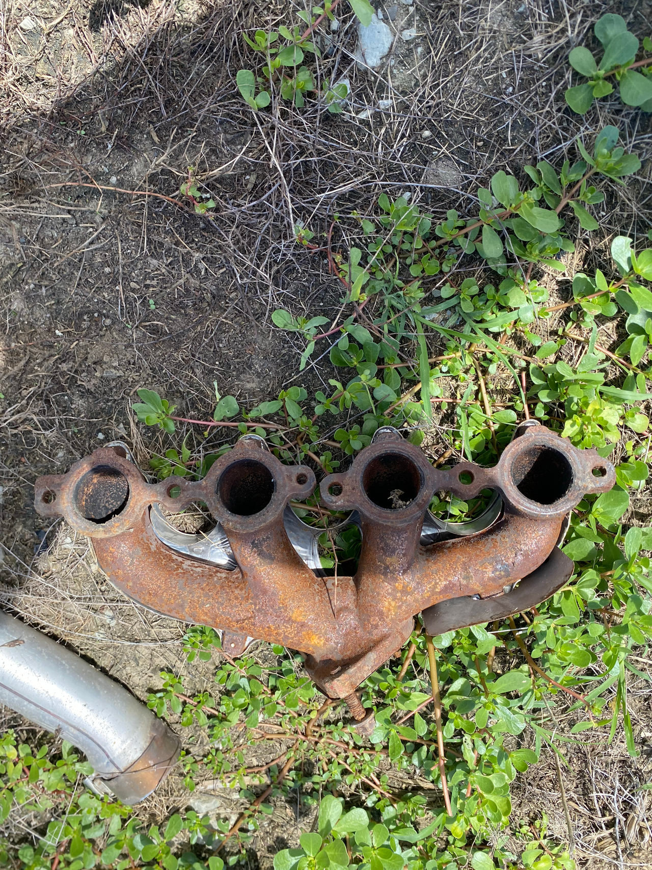 Exhaust Manifold