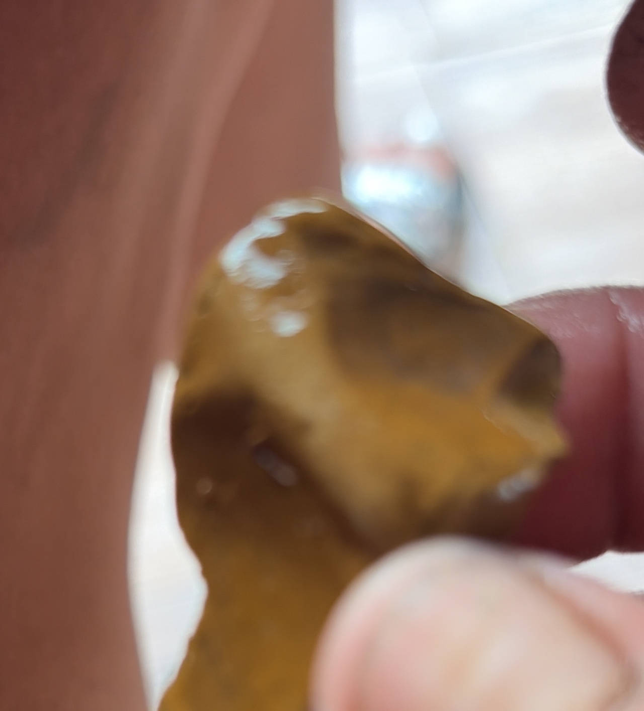 Native American Chert Scraper/Flake