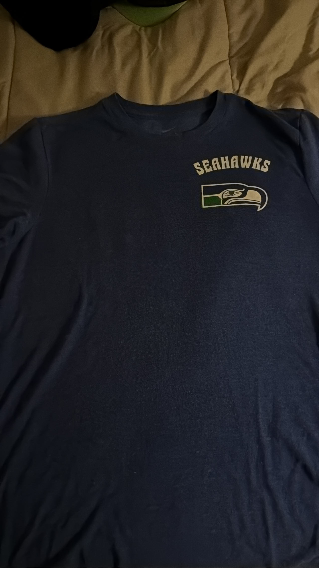 Nike Seattle Seahawks Men's T-Shirt