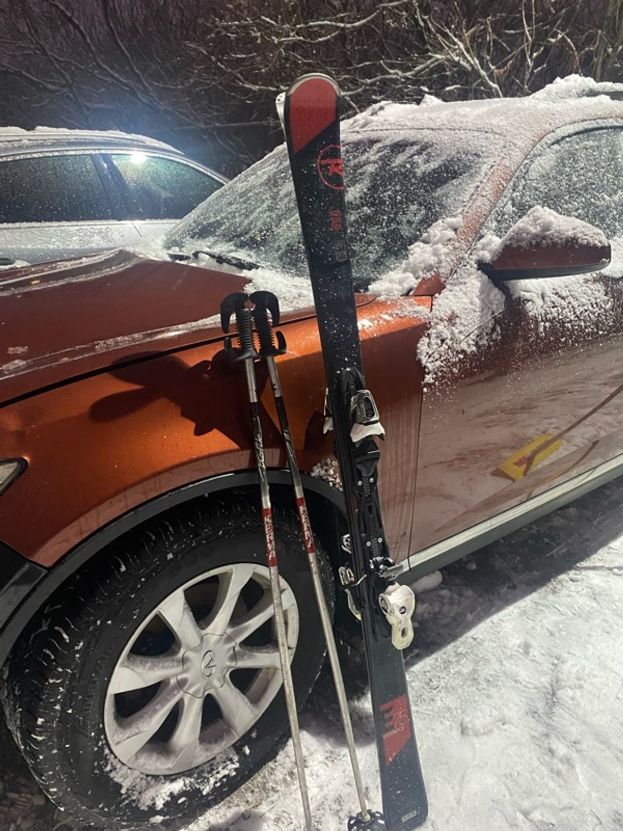 ski and pole