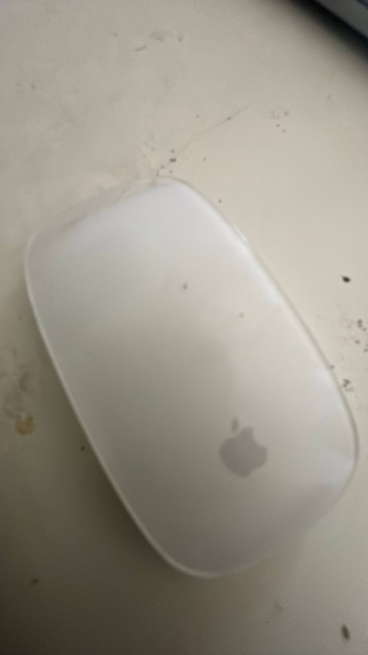 Apple Magic Mouse