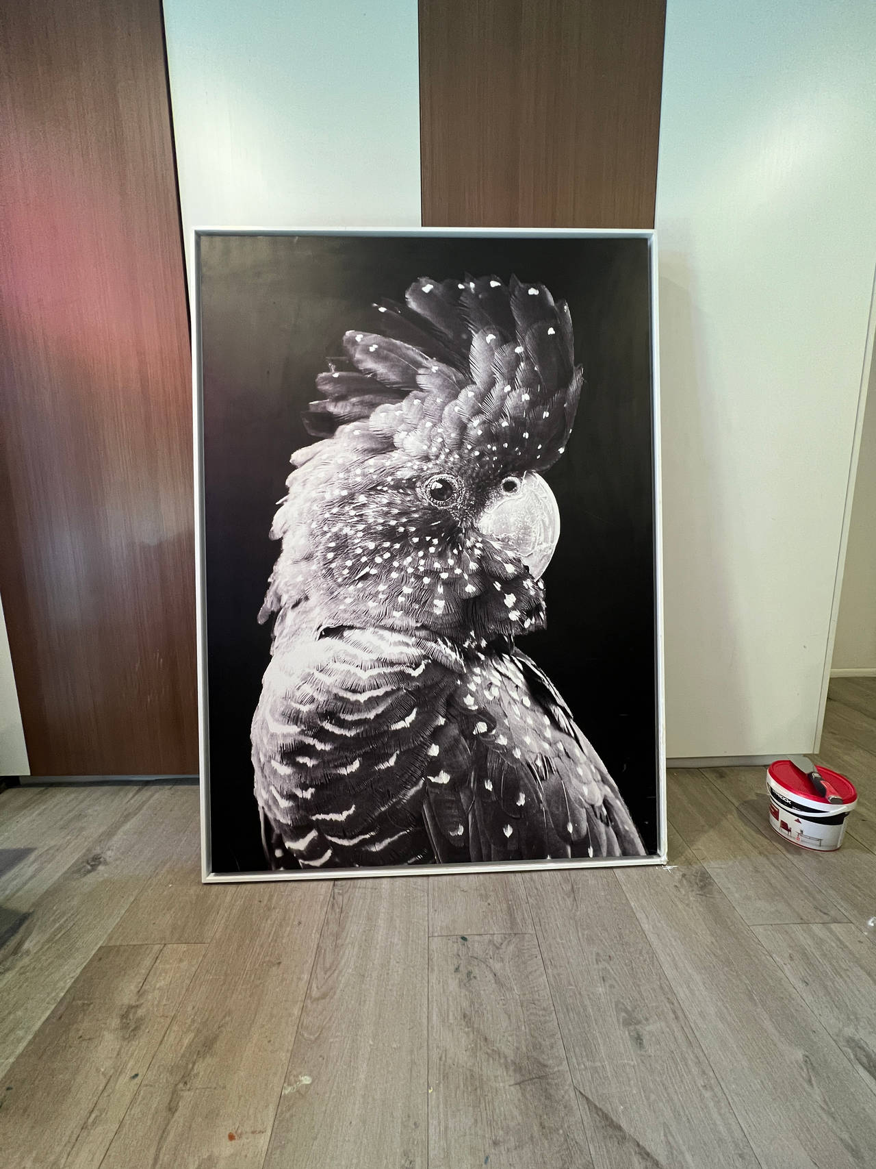 HUGE Black Cockatoo framed Canvas Art Print RRP $485