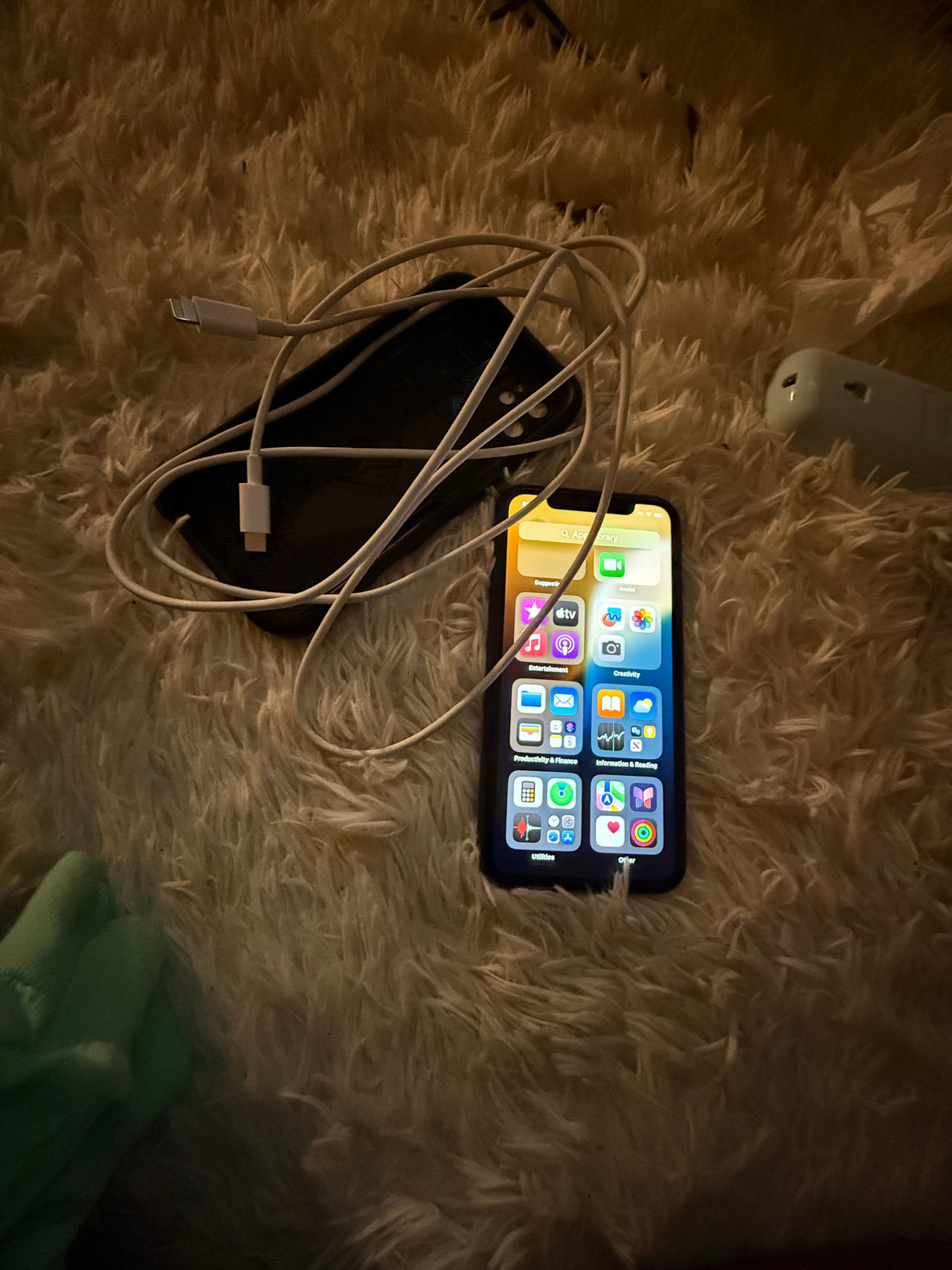 Apple iPhone 11 unlock with charger and case
