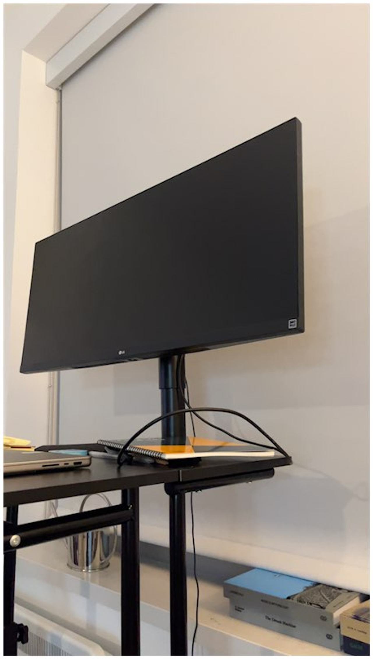 LG UltraWide Monitor