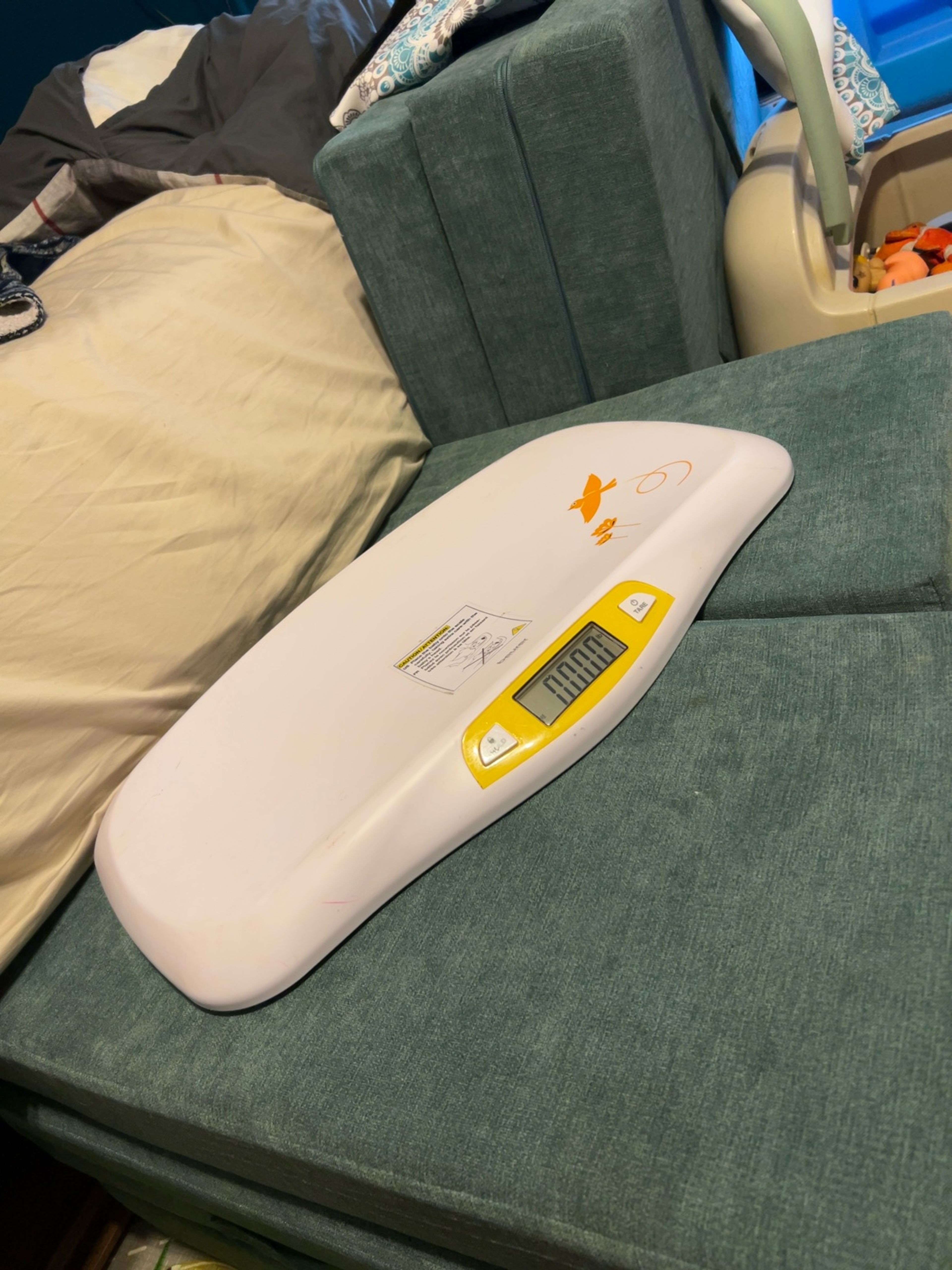 Beurer Digital Baby Scale