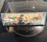 Triangular Glass Shell Shadow Box - Image 5