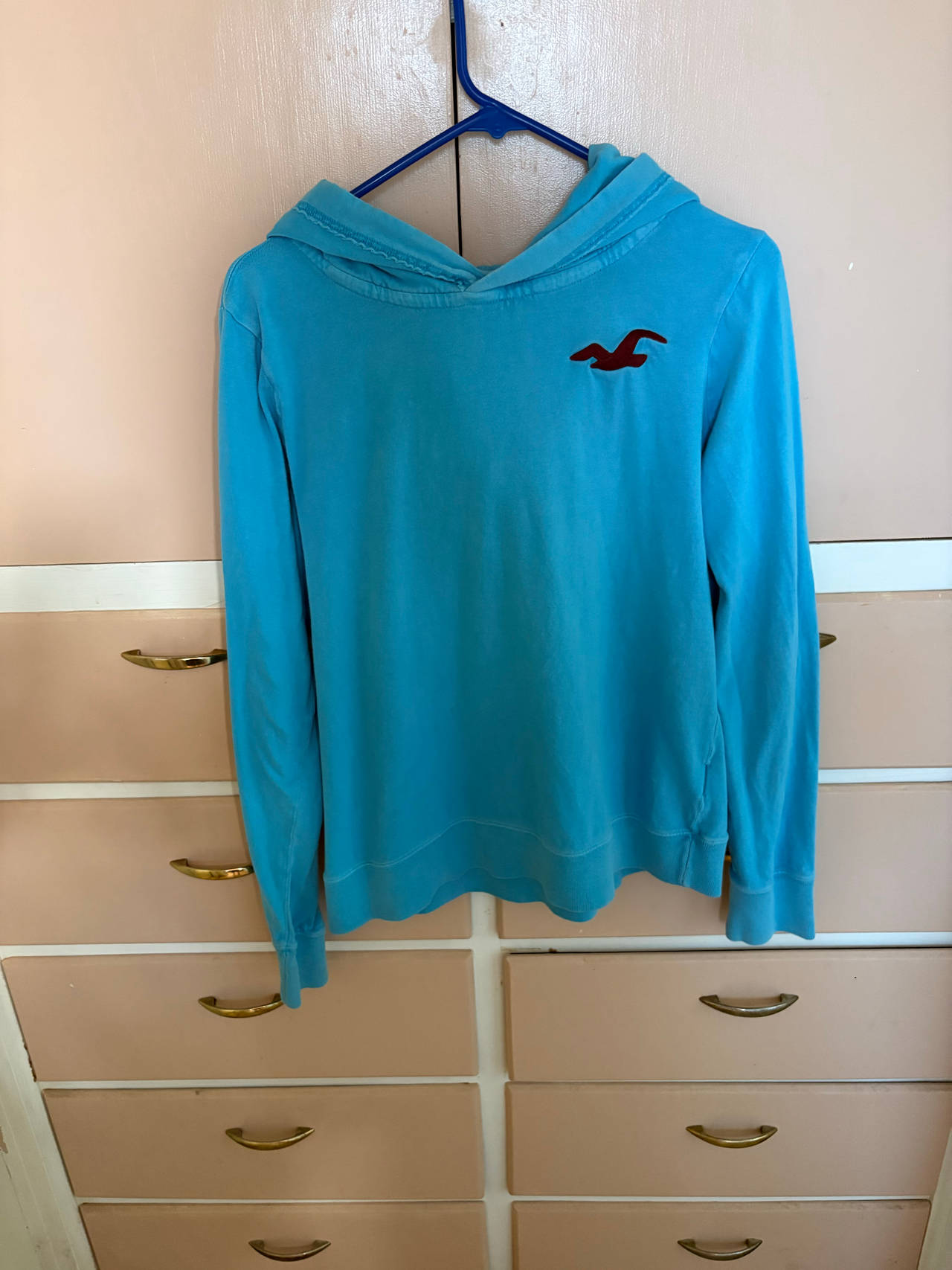 Hollister Light Blue Seagull Logo Hoodie