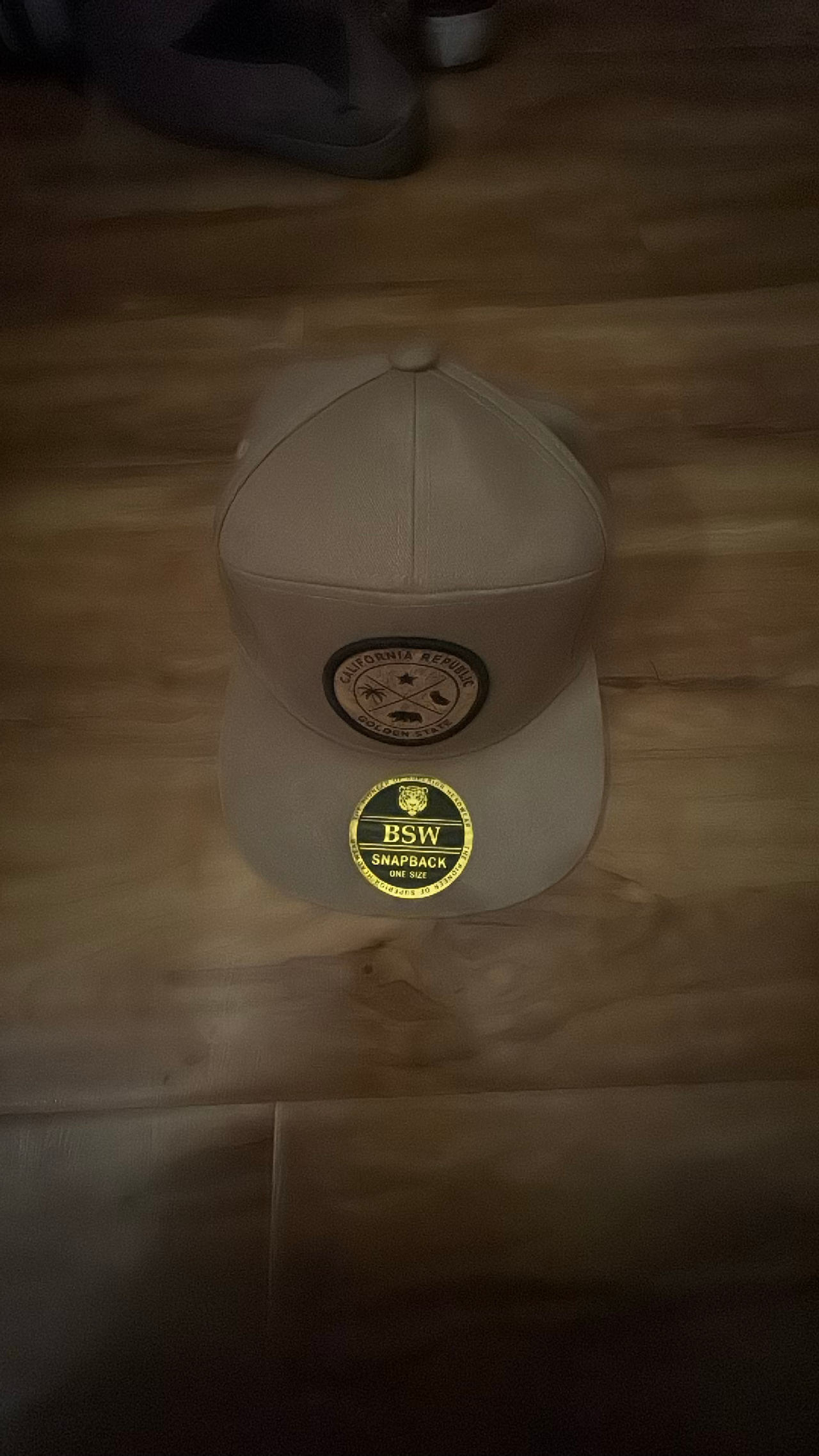 Snapback Hat