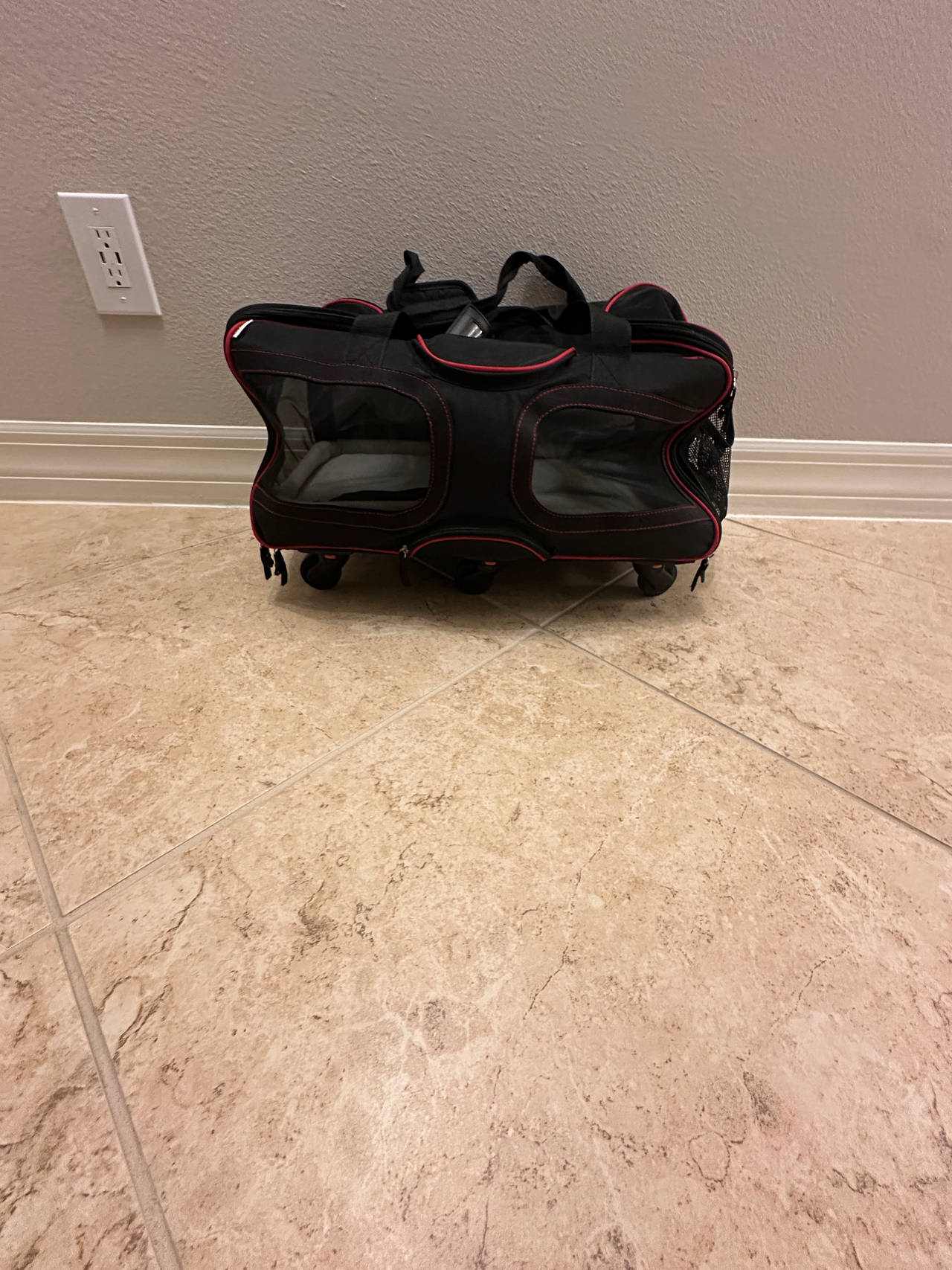 Pet Carrier Bag