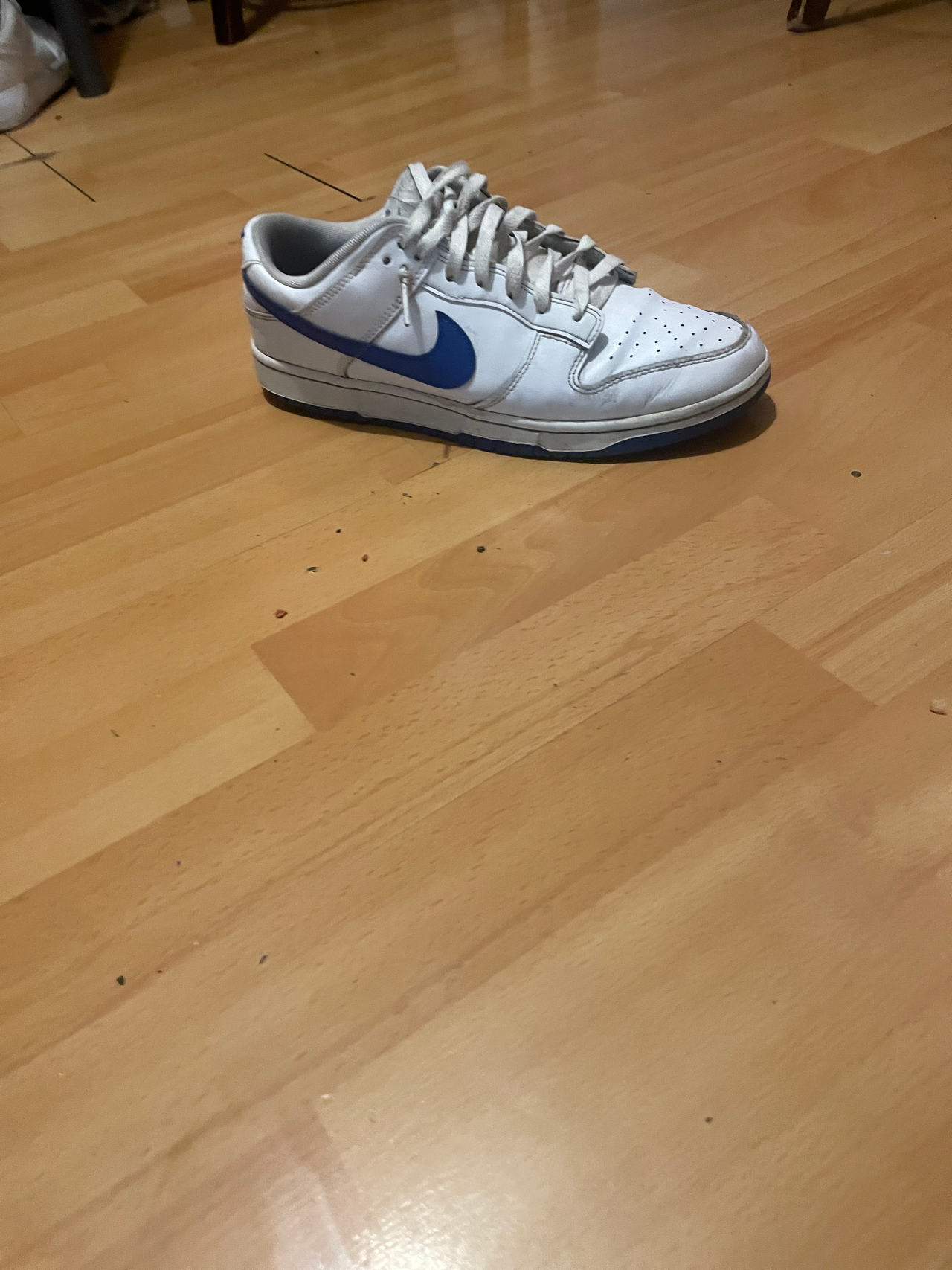 Nike Dunk Low