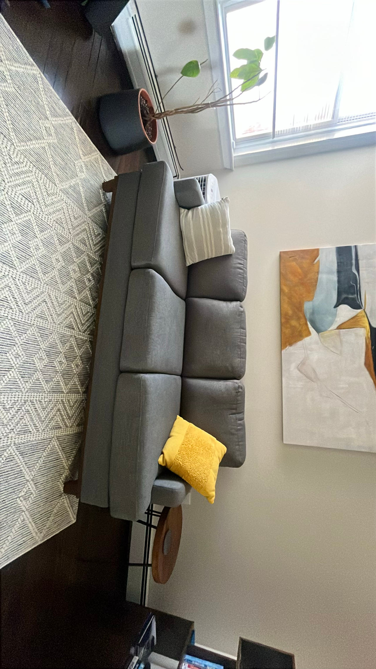 Gray Sofa
