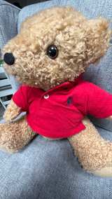Ralph Lauren Polo Bear Plush - Image 2