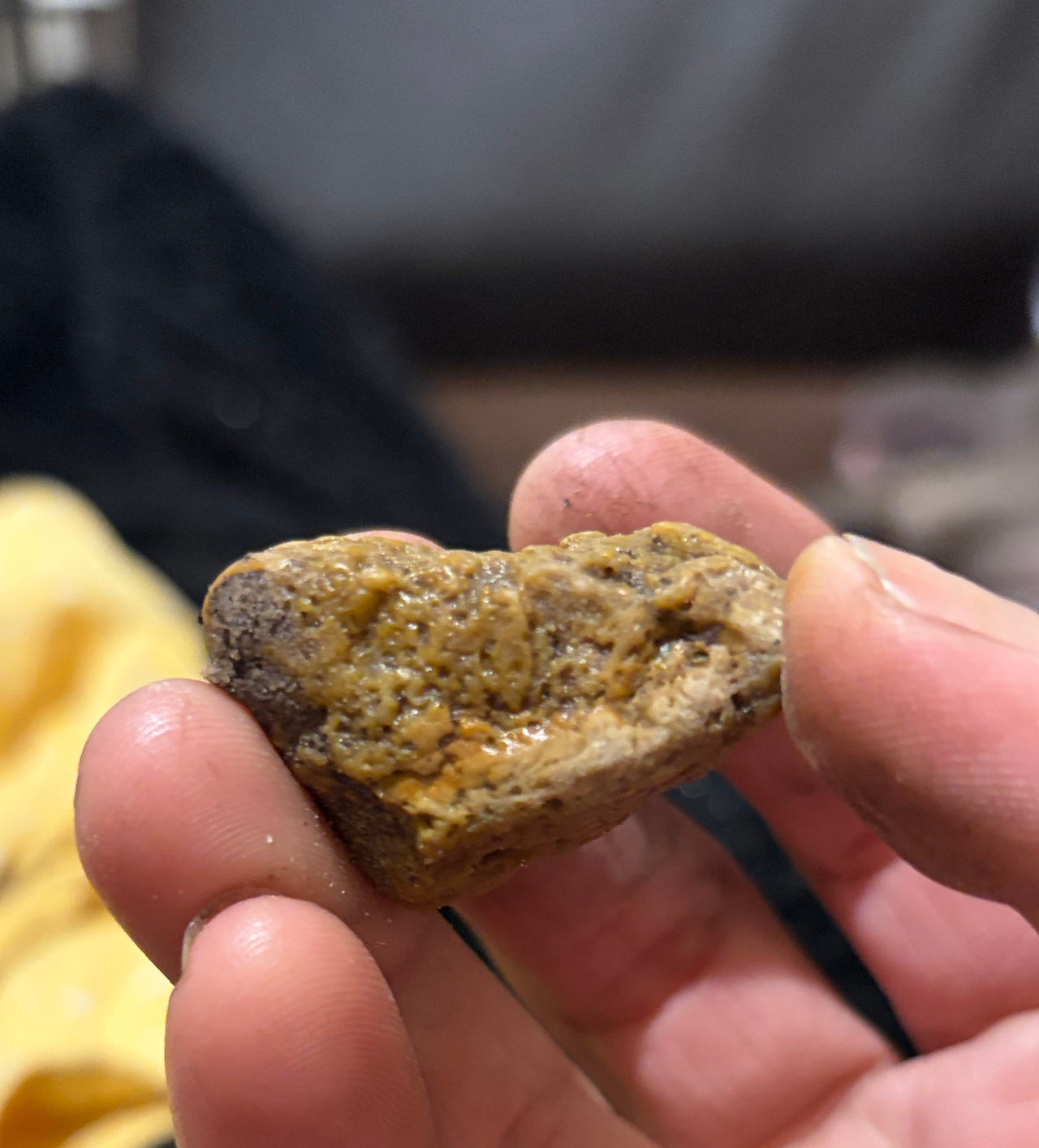 Natural Ambergris Piece